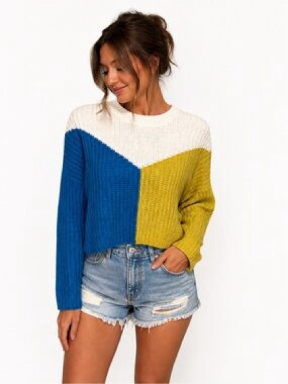 NWOT-Sincerly Jules- Color-block Cropped Crewneck Sweater